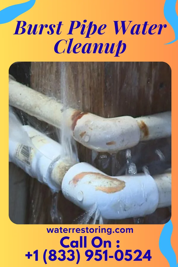 Burst Pipe Water Cleanup in Crystal Lake, IL