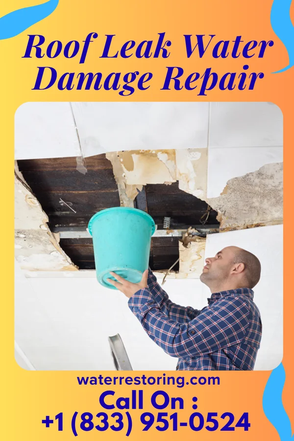 Roof Leak Water Damage Repair in Crystal Lake, IL