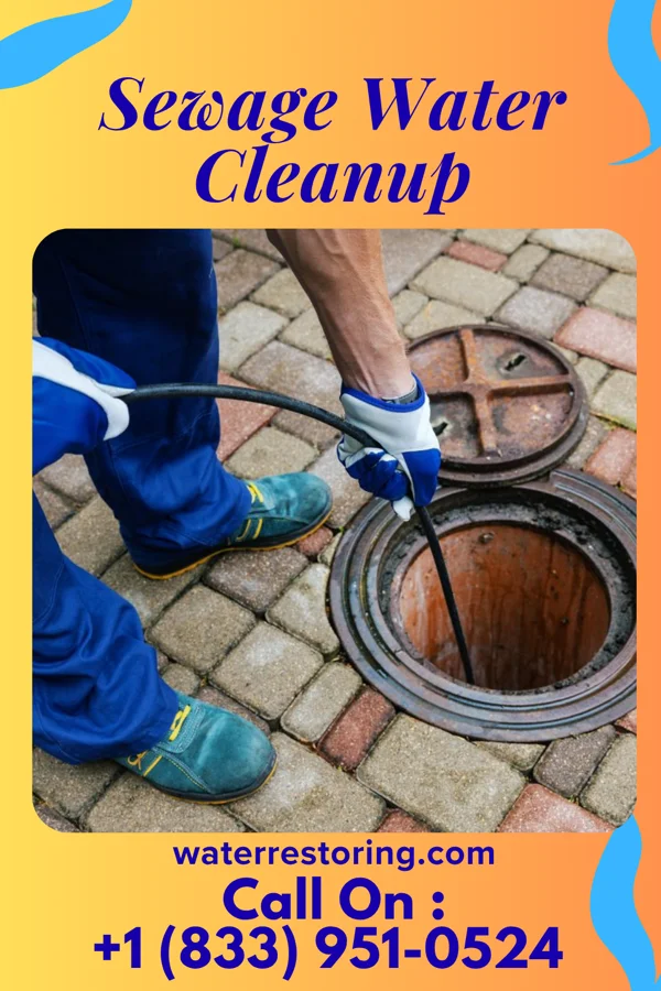 Sewage Water Cleanup in Crystal Lake, IL