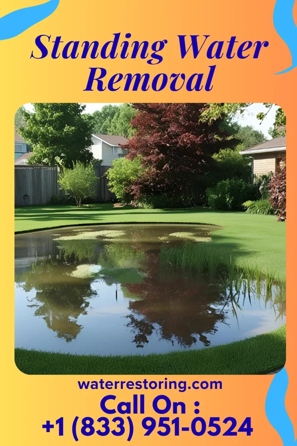Standing Water Removal in Crystal Lake, IL